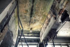 Best Mold Removal for HVAC Installations  in Brookside, NJ